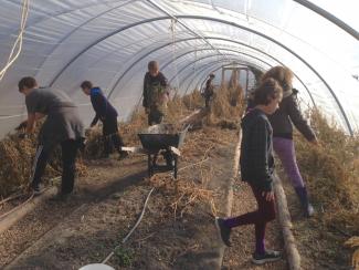Apprenticeship program clearing out greenhouse