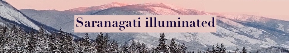 Saranagati illuminated